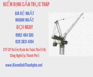 Hình ảnh kiểm định Cần trục tháp