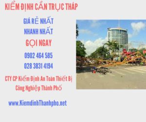 Hình ảnh kiểm định Cần trục tháp