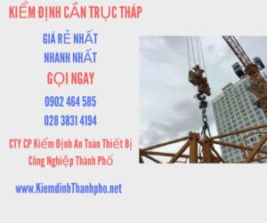 Hình ảnh kiểm định Cần trục tháp