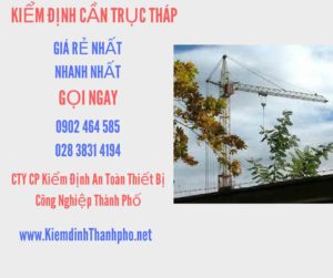 Hình ảnh kiểm định Cần trục tháp