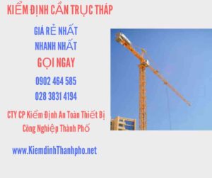 Hình ảnh kiểm định Cần trục tháp