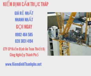 Hình ảnh kiểm định Cần trục tháp