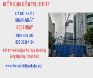 Hình ảnh kiểm định Cần trục tháp