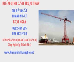 Hình ảnh kiểm định Cần trục tháp