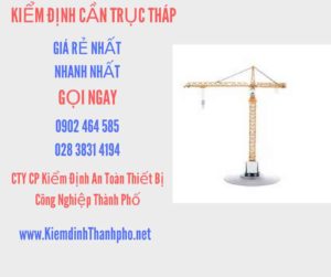 Hình ảnh kiểm định Cần trục tháp