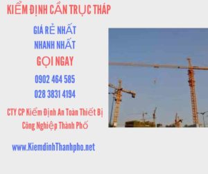 Hình ảnh kiểm định Cần trục tháp