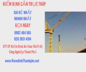 Hình ảnh kiểm định Cần trục tháp