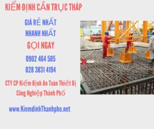 Hình ảnh kiểm định Cần trục tháp