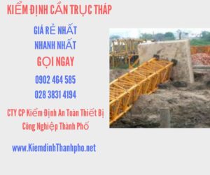 Hình ảnh kiểm định Cần trục tháp