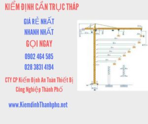 Hình ảnh kiểm định Cần trục tháp