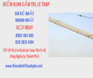 Hình ảnh kiểm định Cần trục tháp