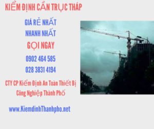 Hình ảnh kiểm định Cần trục tháp