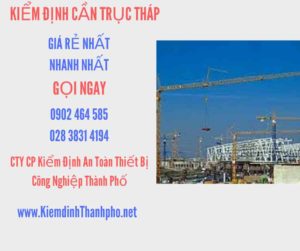 Hình ảnh kiểm định Cần trục tháp