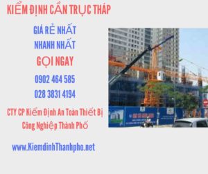 Hình ảnh kiểm định Cần trục tháp