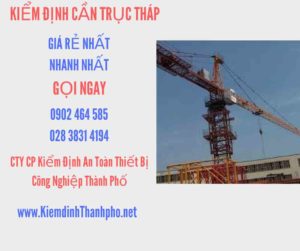 Hình ảnh kiểm định Cần trục tháp