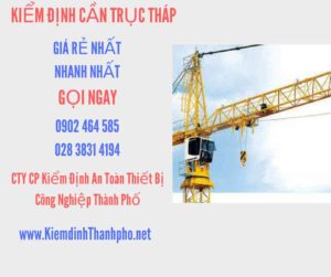 Hình ảnh kiểm định Cần trục tháp