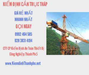 Hình ảnh kiểm định Cần trục tháp