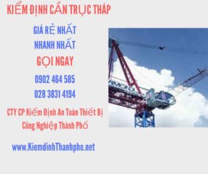 Hình ảnh kiểm định Cần trục tháp