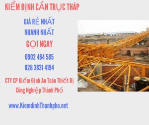 Hình ảnh kiểm định Cần trục tháp