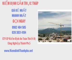 Hình ảnh kiểm định Cần trục tháp