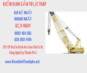 Hình ảnh kiểm định Cần trục tháp