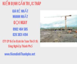 Hình ảnh kiểm định Cần trục tháp