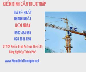 Hình ảnh kiểm định Cần trục tháp