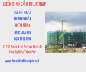 Hình ảnh kiểm định Cần trục tháp