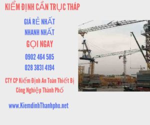 Hình ảnh kiểm định Cần trục tháp