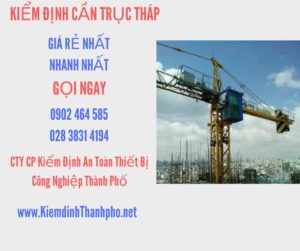 Hình ảnh kiểm định Cần trục tháp