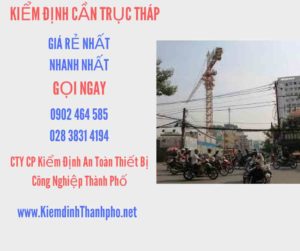 Hình ảnh kiểm định Cần trục tháp