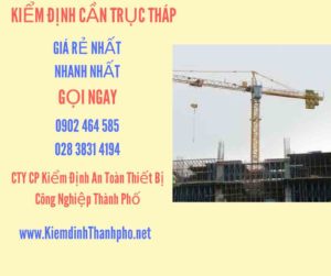 Hình ảnh kiểm định Cần trục tháp