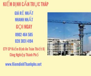 Hình ảnh kiểm định Cần trục tháp