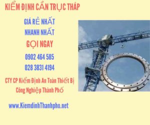 Hình ảnh kiểm định Cần trục tháp