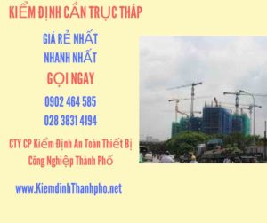 Hình ảnh kiểm định Cần trục tháp