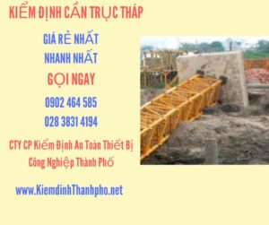 Hình ảnh kiểm định Cần trục tháp