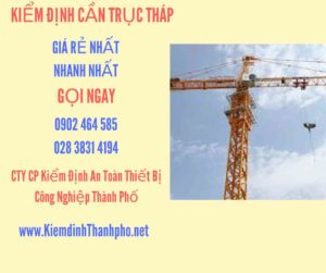 Hình ảnh kiểm định Cần trục tháp