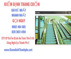 Hình ảnh kiểm định Thang cuốn