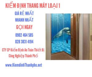 Hình ảnh kiểm định Tháng máy loại 1