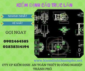 Hình ảnh kiểm định Cầu trục lăn