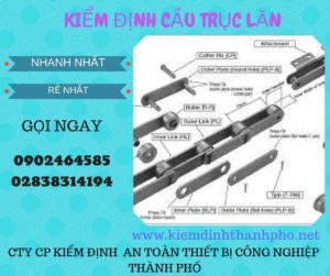 Hình ảnh kiểm định Cầu trục lăn