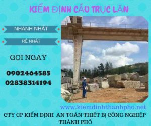 Hình ảnh kiểm định Cầu trục lăn