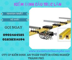 Hình ảnh kiểm định Cầu trục lăn