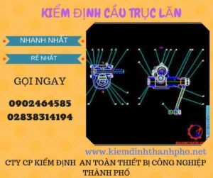 Hình ảnh kiểm định Cầu trục lăn