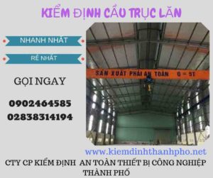 Hình ảnh kiểm định Cầu trục lăn