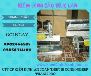 Hình ảnh kiểm định Cầu trục lăn