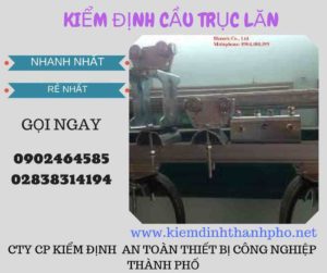 Hình ảnh kiểm định Cầu trục lăn