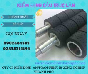 Hình ảnh kiểm định Cầu trục lăn