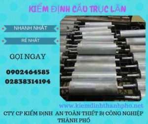 Hình ảnh kiểm định Cầu trục lăn