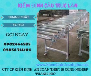 Hình ảnh kiểm định Cầu trục lăn